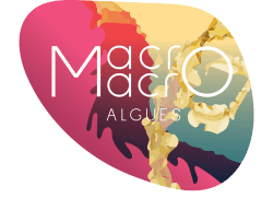 Macro Macro Algues